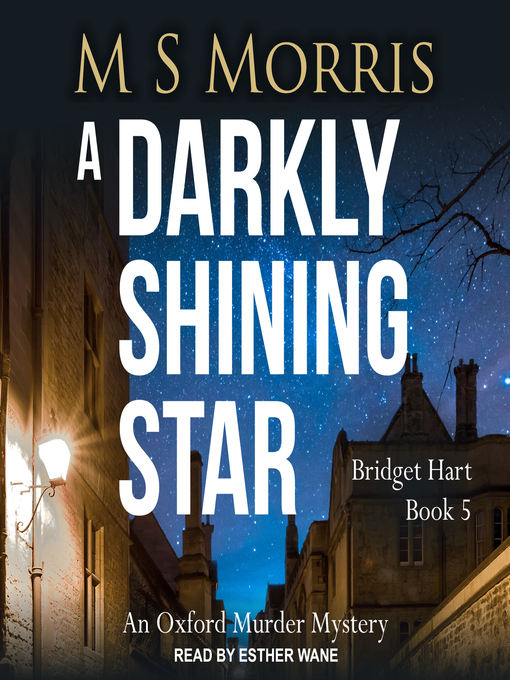 Title details for A Darkly Shining Star by M S Morris - Available